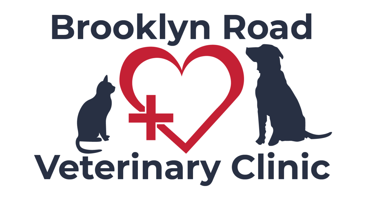 Best Vet Clinic In Jackson, MI Brooklyn Road Veterinary Clinic