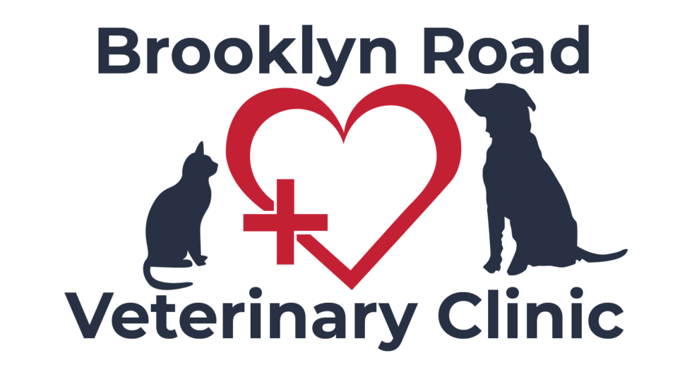 Best Vet Clinic In Jackson, MI Brooklyn Road Veterinary Clinic